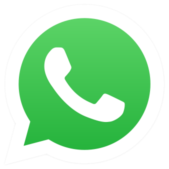 3042081351
